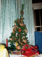 011225-41ChristmasTree.JPG